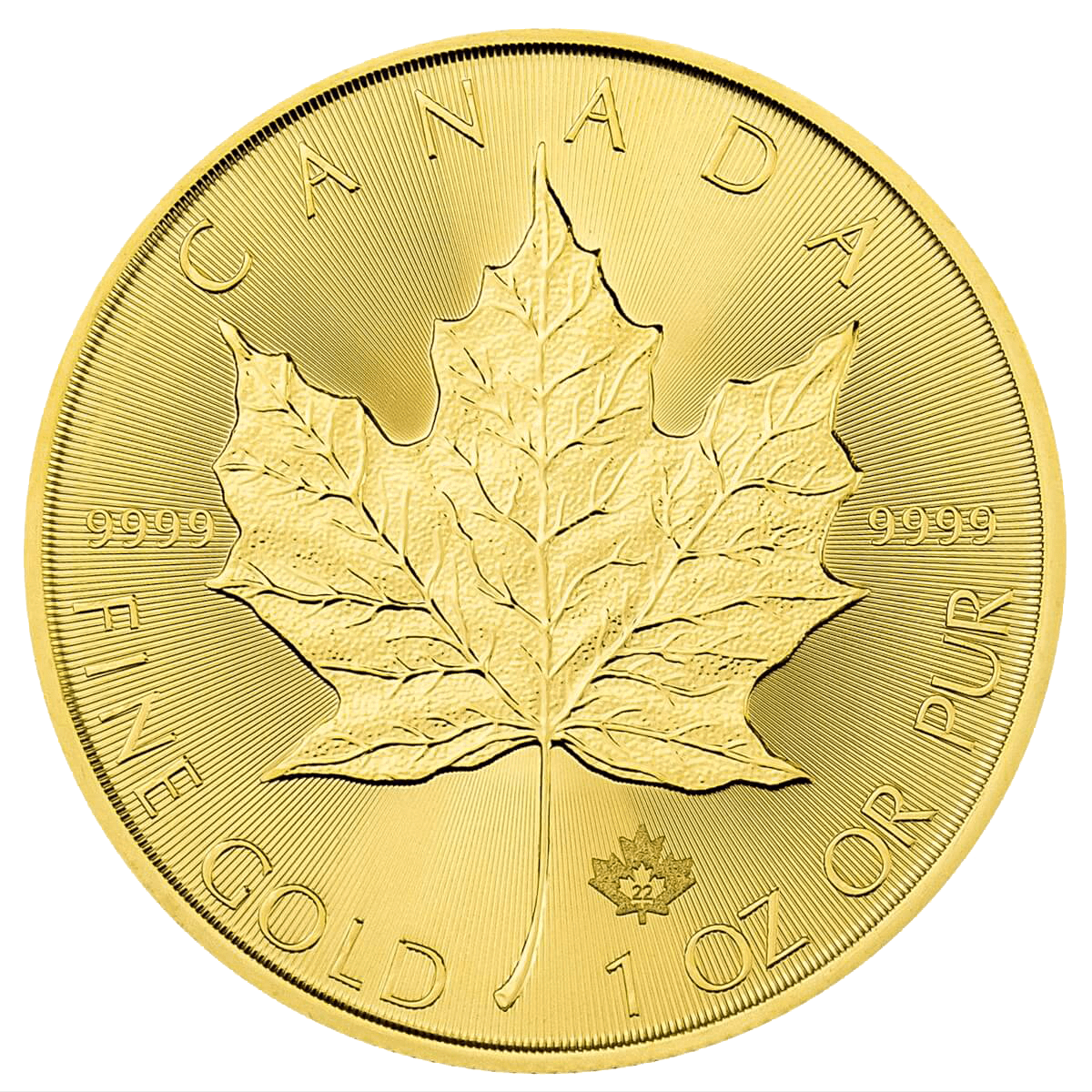 Liść Klonowy 1 oz - Złota moneta bulionowa Maple Leaf