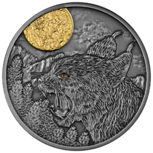 Ryś, 500 CFA, Seria: Nocni łowcy, rewers