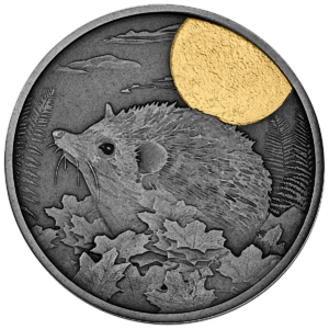 Jeż, 500 CFA, Seria: Nocni łowcy, rewers