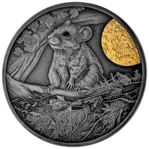 Popielica, 500 CFA, Seria: Nocni łowcy, rewers