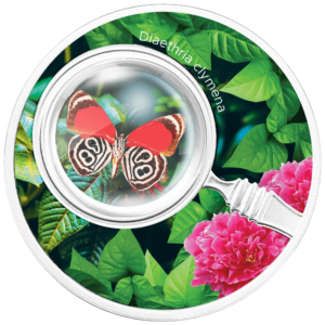 Diaethria clymena, 500 franków CFA, Seria: Motyle, rewers