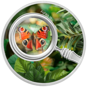 Aglais io, 500 franków CFA, Seria: Motyle, rewers