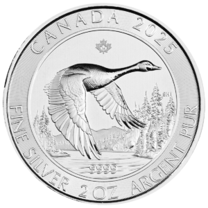 Gęś Kanadyjska 2oz