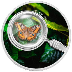 Junonia almana, 500 franków CFA, Seria: Motyle, rewers