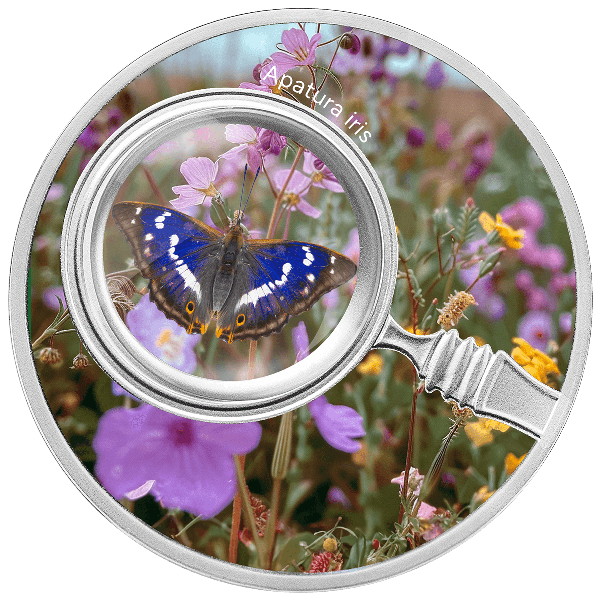 Apatura iris_reverse Apatura Iris, 500 franków CFA, rewers