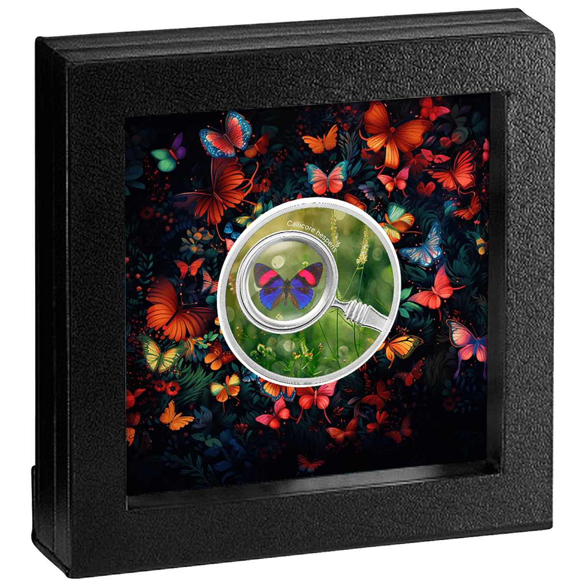 Callicore Hesperis_box Callicore hesperis, 500 franków CFA, Seria: Motyle, pudełko