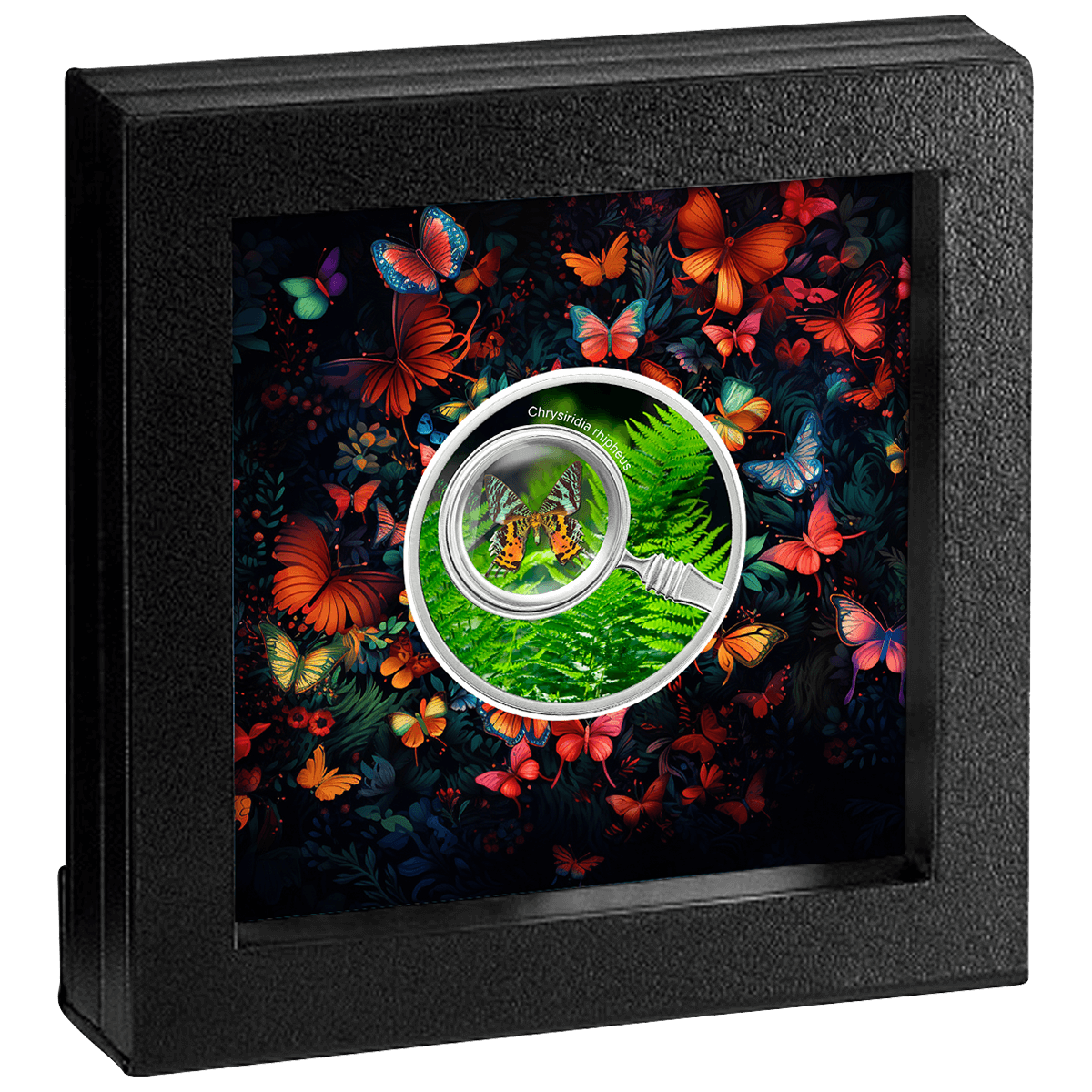 Chrysiridia rhipheus, 500 franków CFA, Seria: Motyle, pudełko