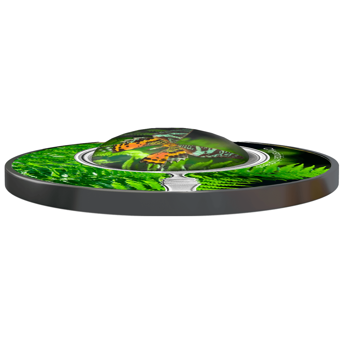 Chrysiridia rhipheus, 500 franków CFA, Seria: Motyle, rewers