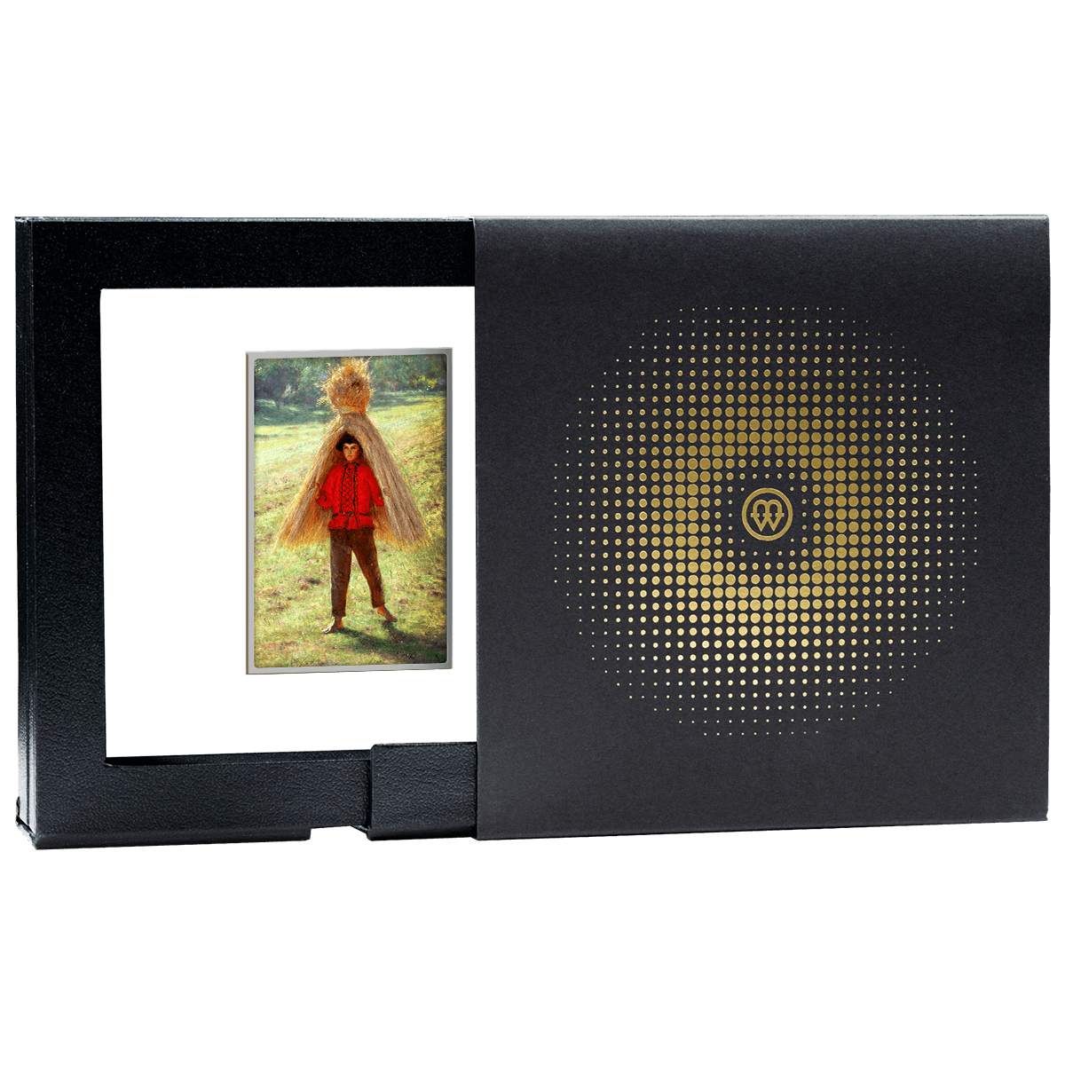 A BOY IN THE SUN_box