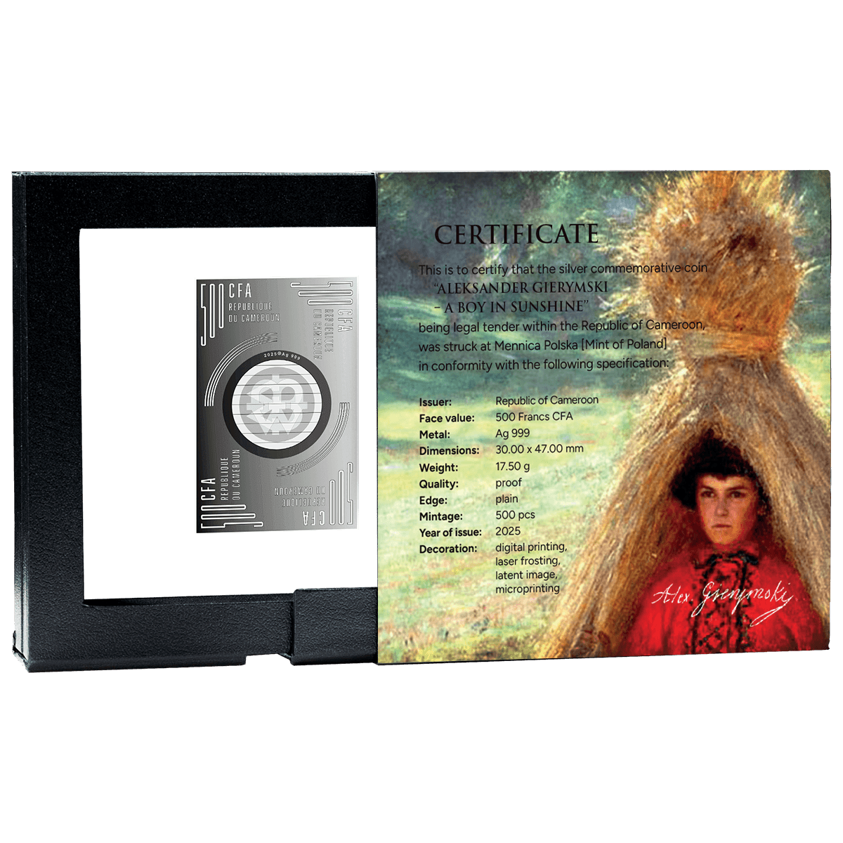 A BOY IN THE SUN_box_2